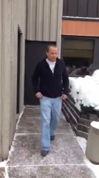 Permaleaf Outdoor UV Ficus trees