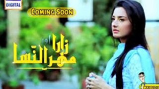 Zara Aur Mehrunnisa - Episode 4 - ARY DIGITAL Drama - 28th January 2014