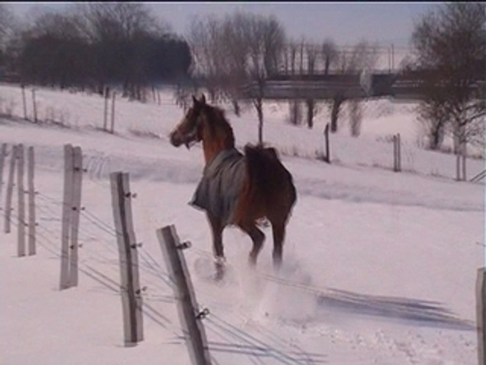 Tholienny de Moura en hiver