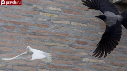 Голуби мира не спасут Украину?