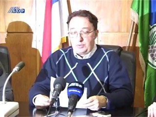 Konferencija pred 29. skupštinsko zasedanje, 28. januar 2014.