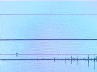 Cinema Definition 🎬