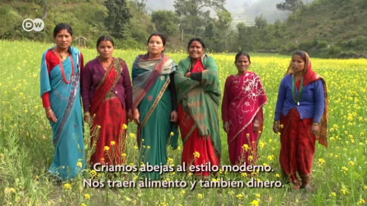 Biodiversidad en Nepal: protección de las abejas | Global 3000