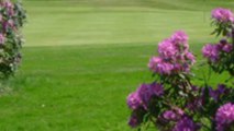 The Dorking golf club Dorking and Reigate Surrey