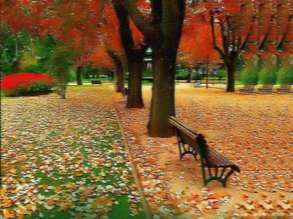 Değme Felek Değme Telime Benim (Bugün Benim Efkarım Var) - Dilaver AVGÖREN