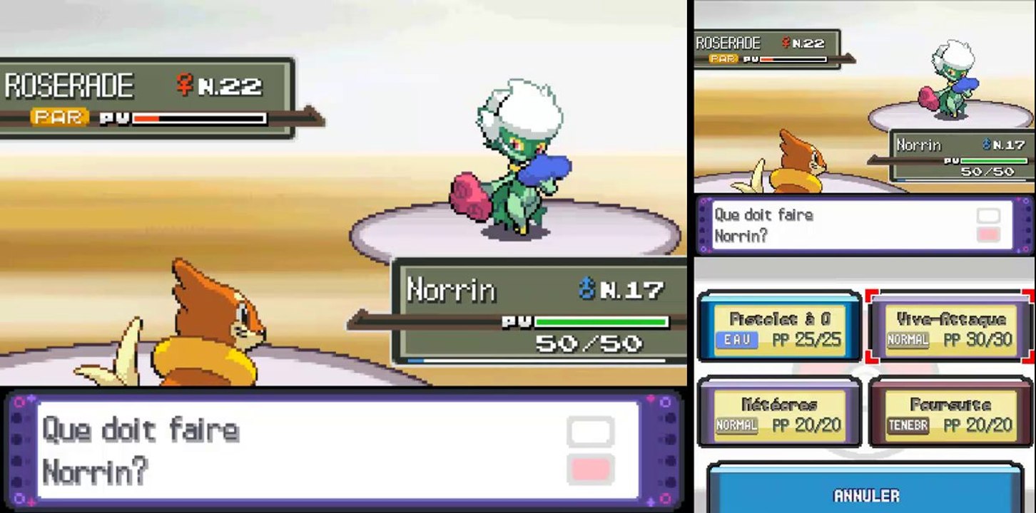 Pokémon Pt: Max% [7] Badge Forêt obtenu