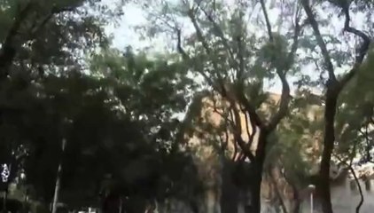 POBLENOU V. LA VILA OLÍMPICA