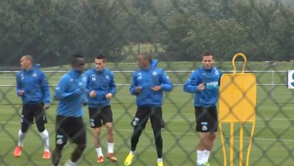 Francia - PSG ficha a Cabaye