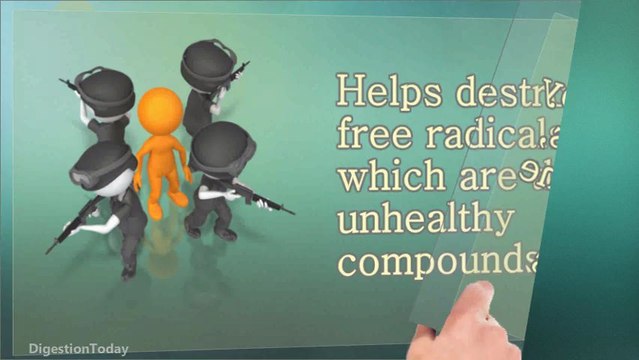 Probiotics And Digestive Enzymes: Metabolic Enzymes - The So Called Worker Bees In Our Body