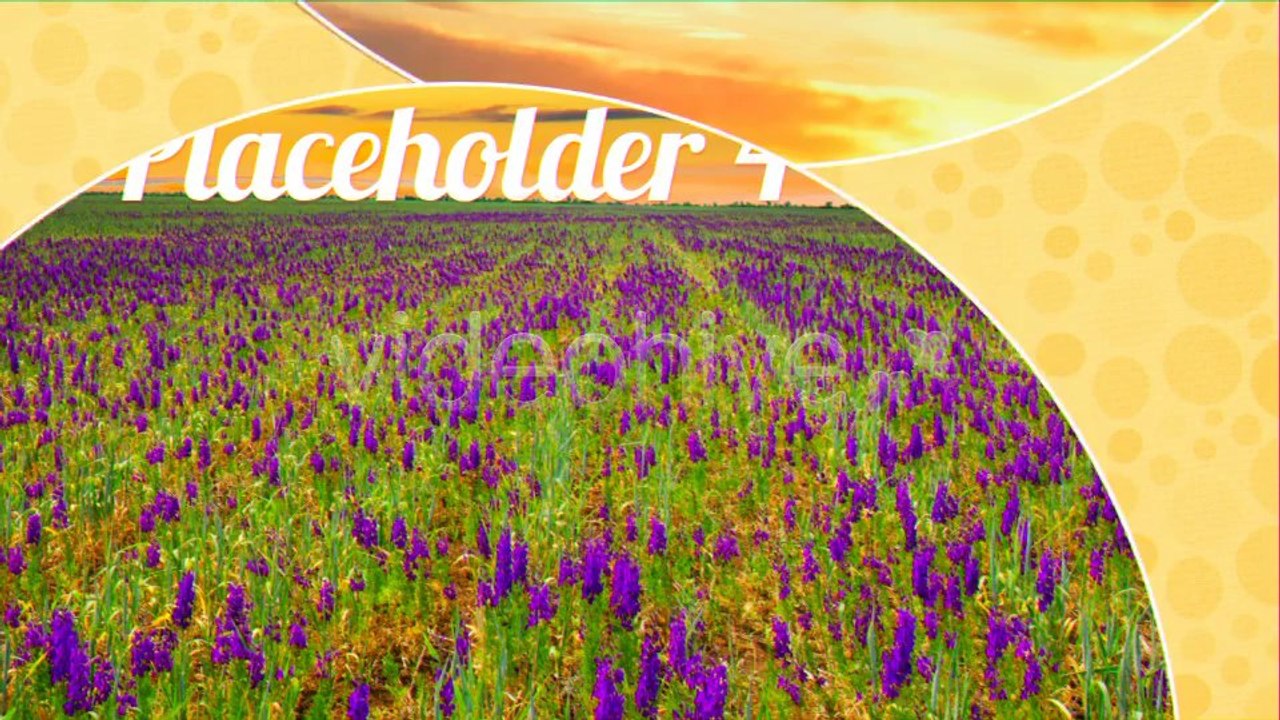 Jazzy - After Effects Template