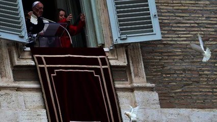 Animal Rights Groups Appeal to Pope After Dove Attack