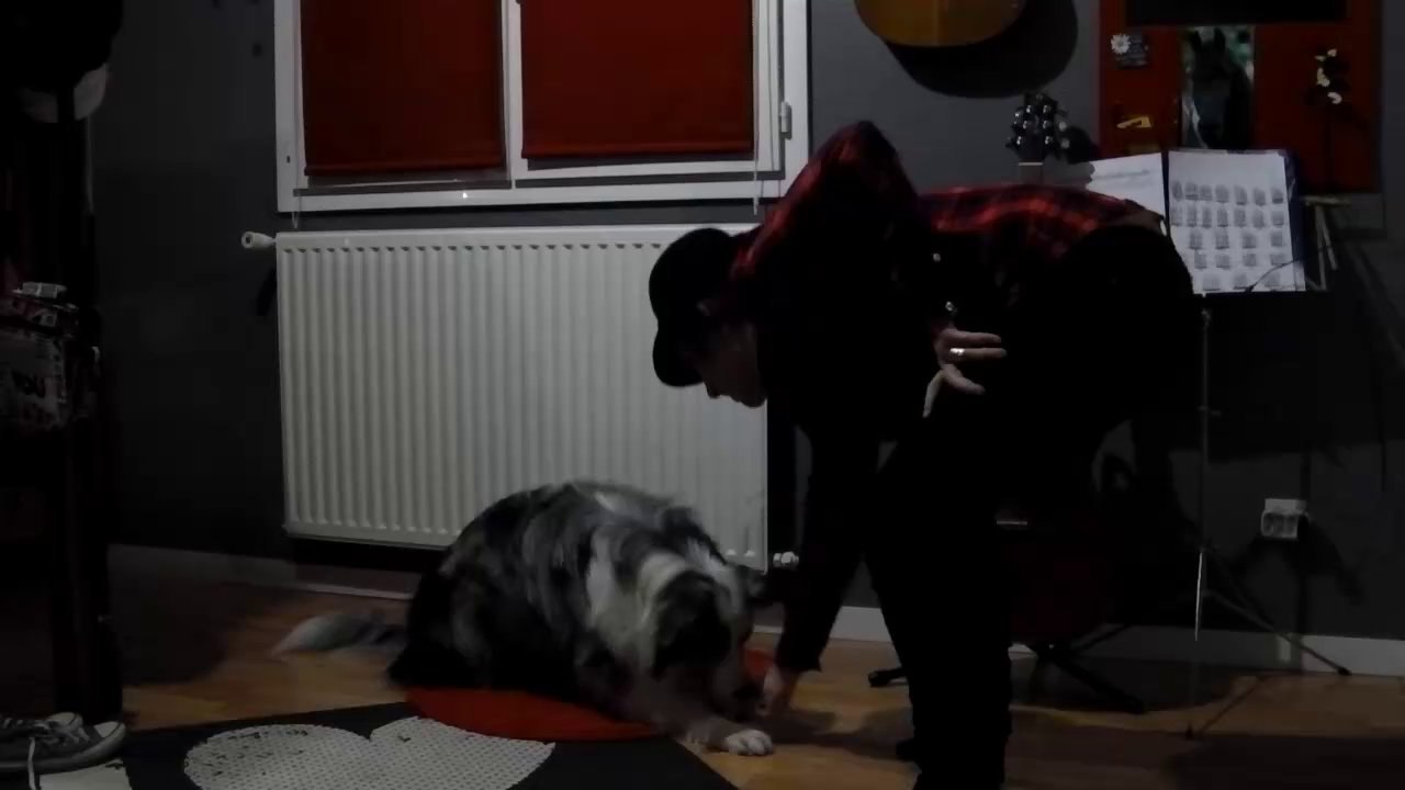 Trick - Down