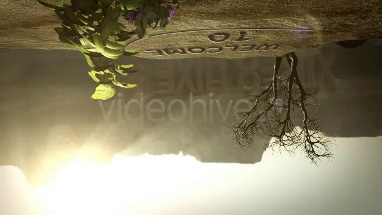 The Mountain Lake - After Effects Template