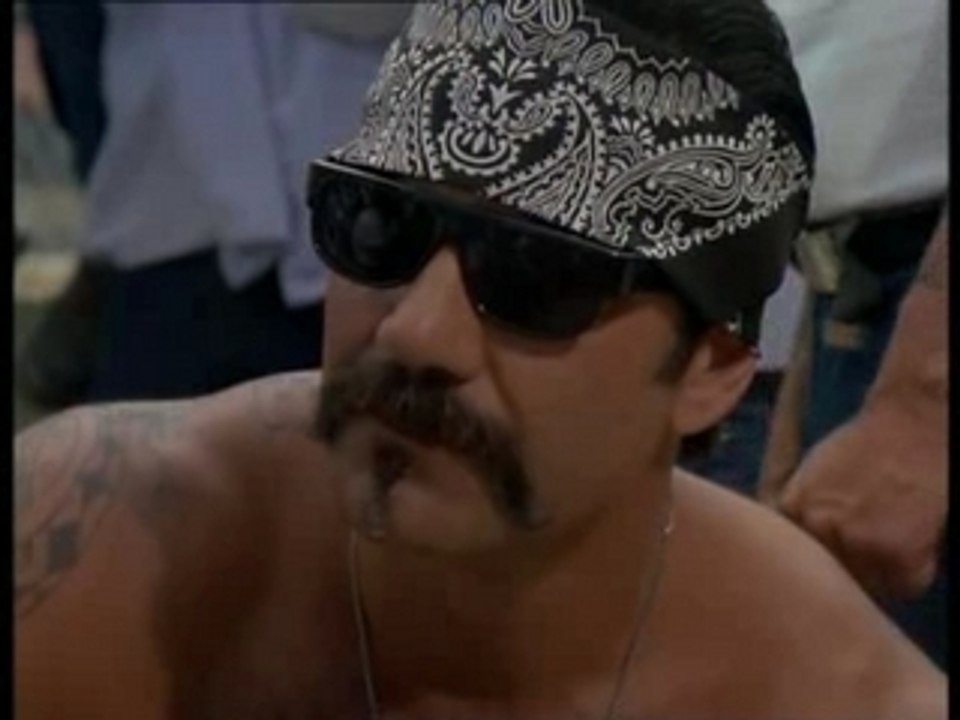 La demi-Finale Kamoulox Mozinor