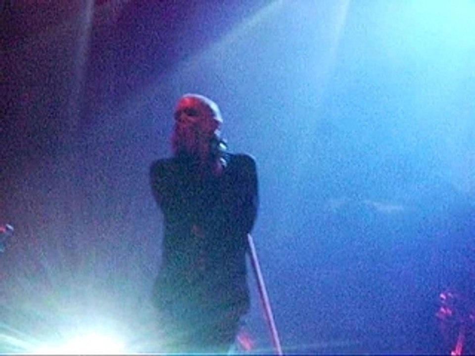 Placebo Space Monkey