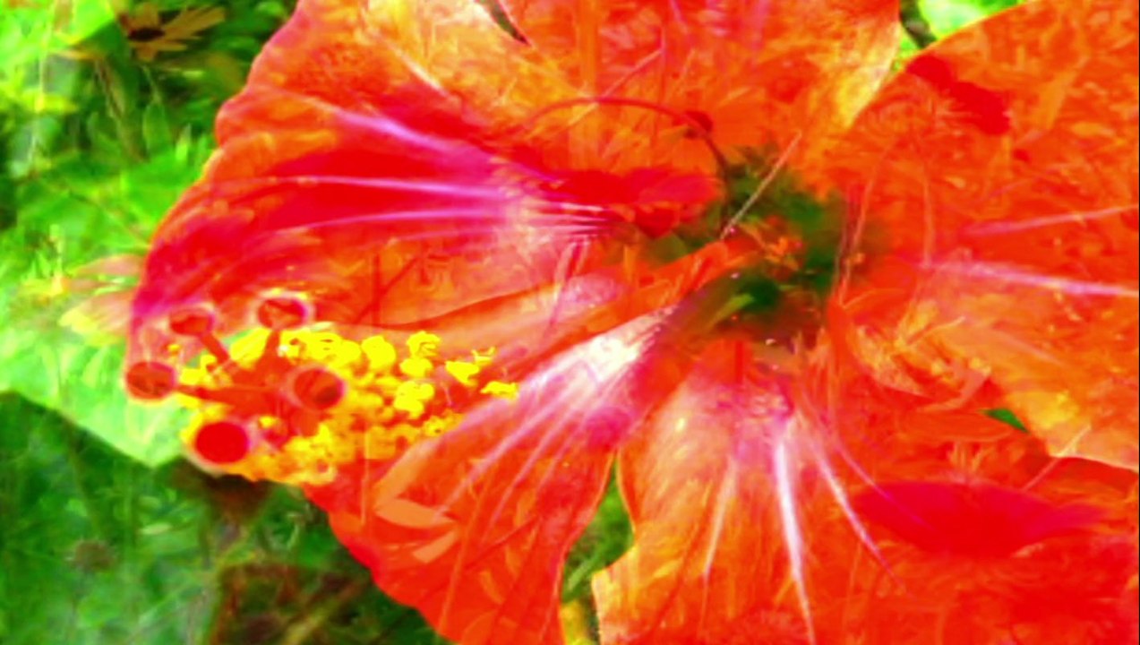 fleur 1