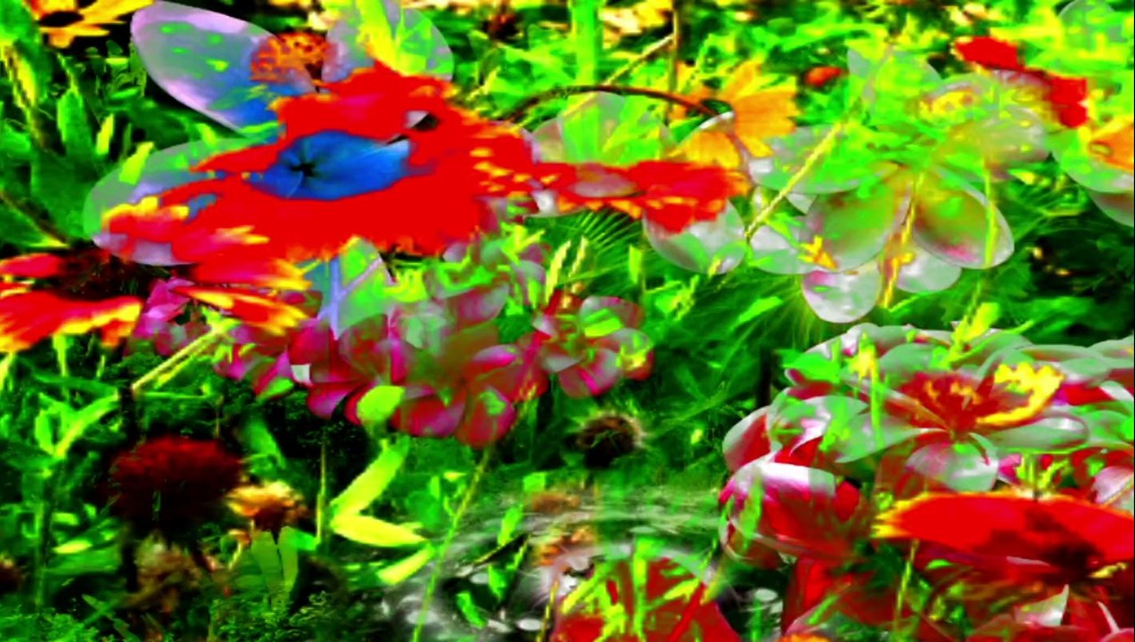 fleur 3