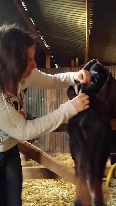 Les moment calin avec pouette ...