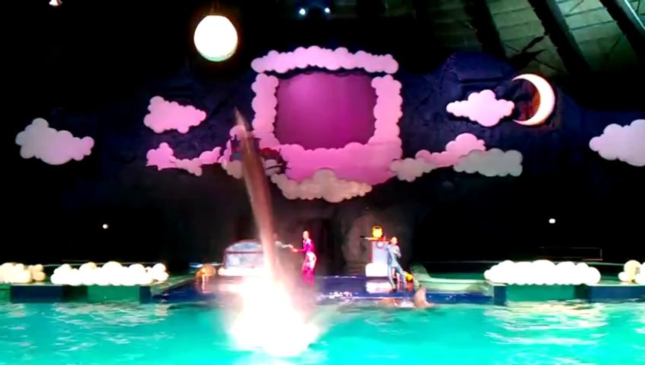 Dolfinarium show