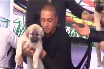Carlos'a, canlı yayında "Kangal" sürprizi