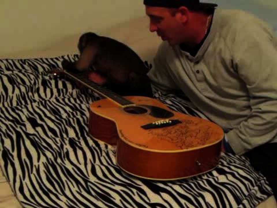 Monkey Gets a Guitar Lesson