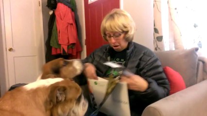 Скачать видео: Mom Reacting To Superbowl Tickets Surprise Is Precious - Seattle Seahawks Super Bowl XLVIII