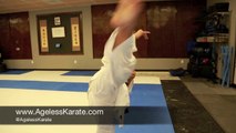 Looking for Martial Arts Training in Las Vegas? | Ageless Shotokan Karate Las Vegas pt. 5