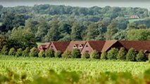 Denbies wine estate Dorking and Reigate Surrey