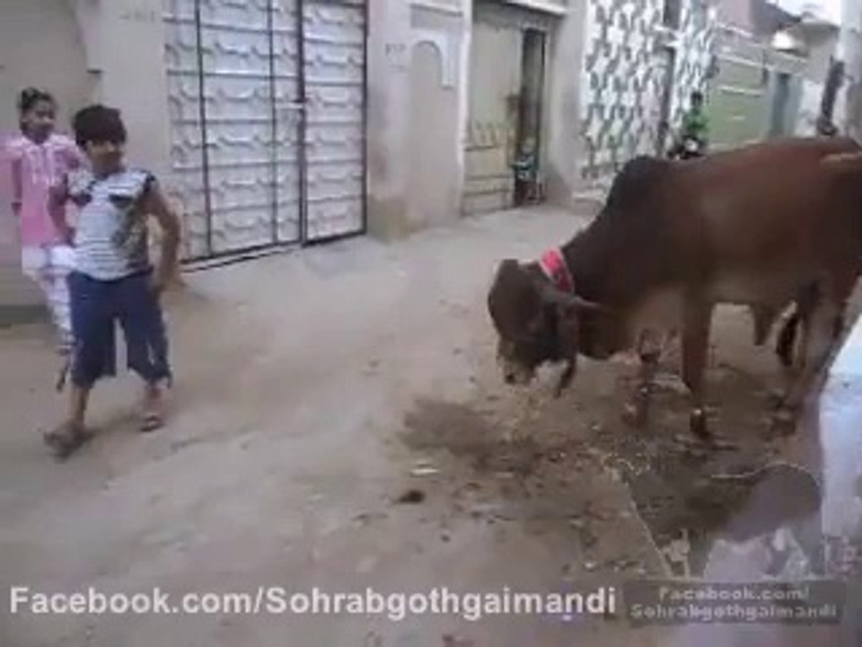 FUNNY VIDEO