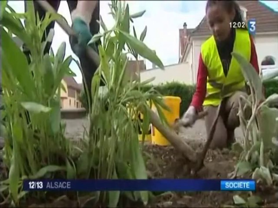 Journées citoyennes Alsace - Odas