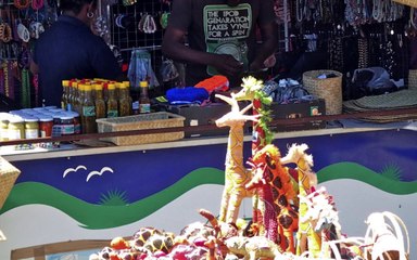 2 novembre 2013 à Rodrigues, une fleur pour David  et les dossards à Malabar-Écran