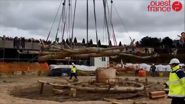 On a sorti l'araignée de la fontaine de Versailles