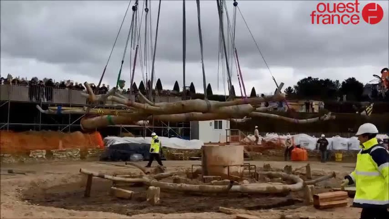 On a sorti l'araignée de la fontaine de Versailles