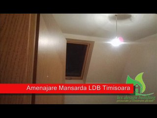 Constructii Timisoara Amenajare Mansarda Lex Design Building