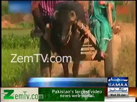 FaceBook Love Story…American woman felt in love with Indian Farmer