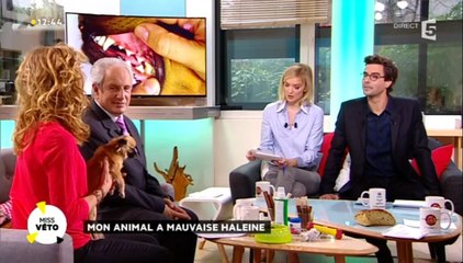 Que faire contre la mauvaise haleine de nos animaux ?
