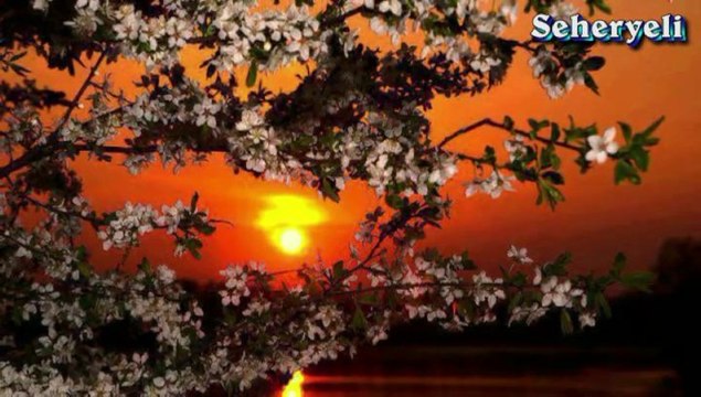 ♪♪♪ Saba Kanun Taksimi