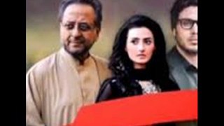 Qudrat - Episode 3 - ARY DIGITAL Drama - 29 January 2014