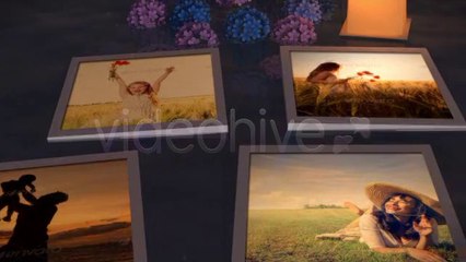 Photo Gallery on a Magical Summer Night