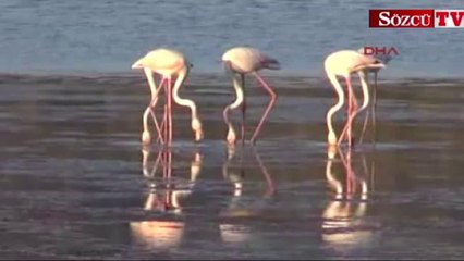 Bodrum'dan kartpostallık görüntüler