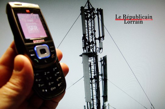 Que pensez-vous de la réglementation sur les ondes électromagnétiques ?