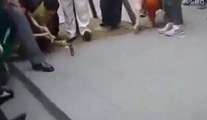 Most Intelligent and Efficient Birds