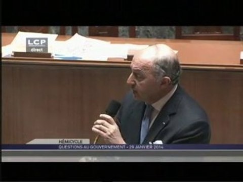 Turquie : Laurent Fabius répond à une question à l'Assemblée nationale (29/01/2014)