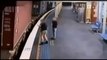 Moment Choquant: Une femme australienne se jette sous un Train mobile et en ressort vivante