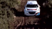 Peugeot 208 Type R5 : appelez-la 208 T16