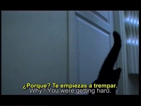 les couilles de mon chat_extracto