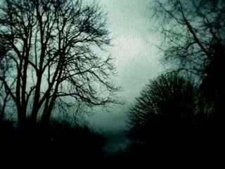 Landscapes & Scenery