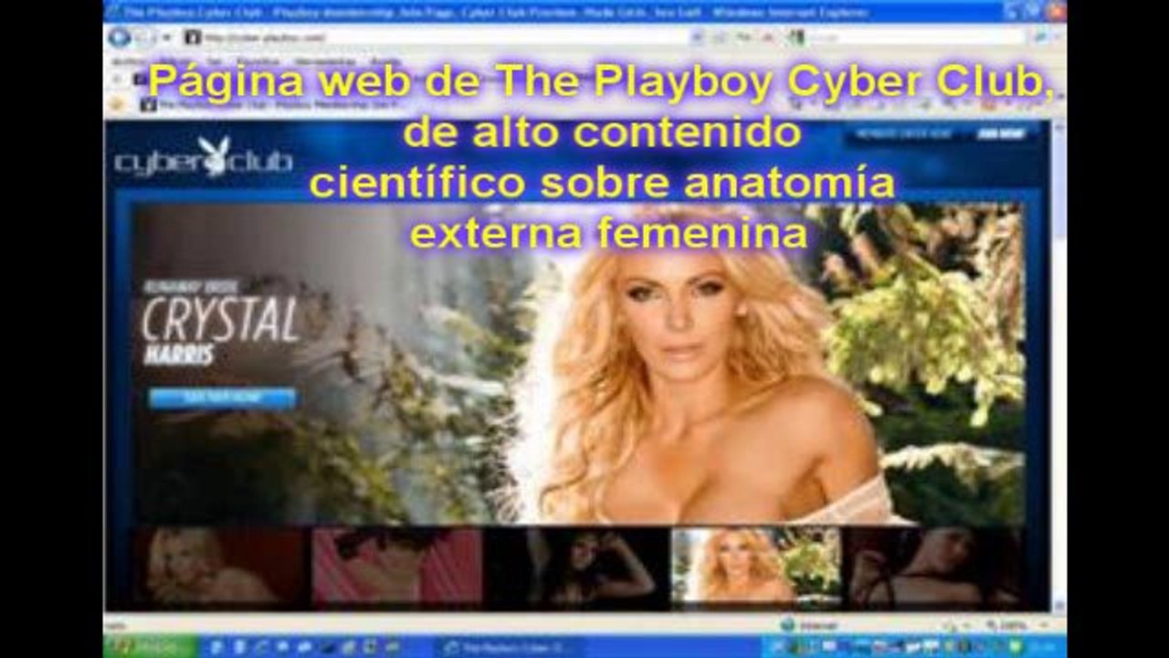 loquendo internet segun la inciclopedia wiki
