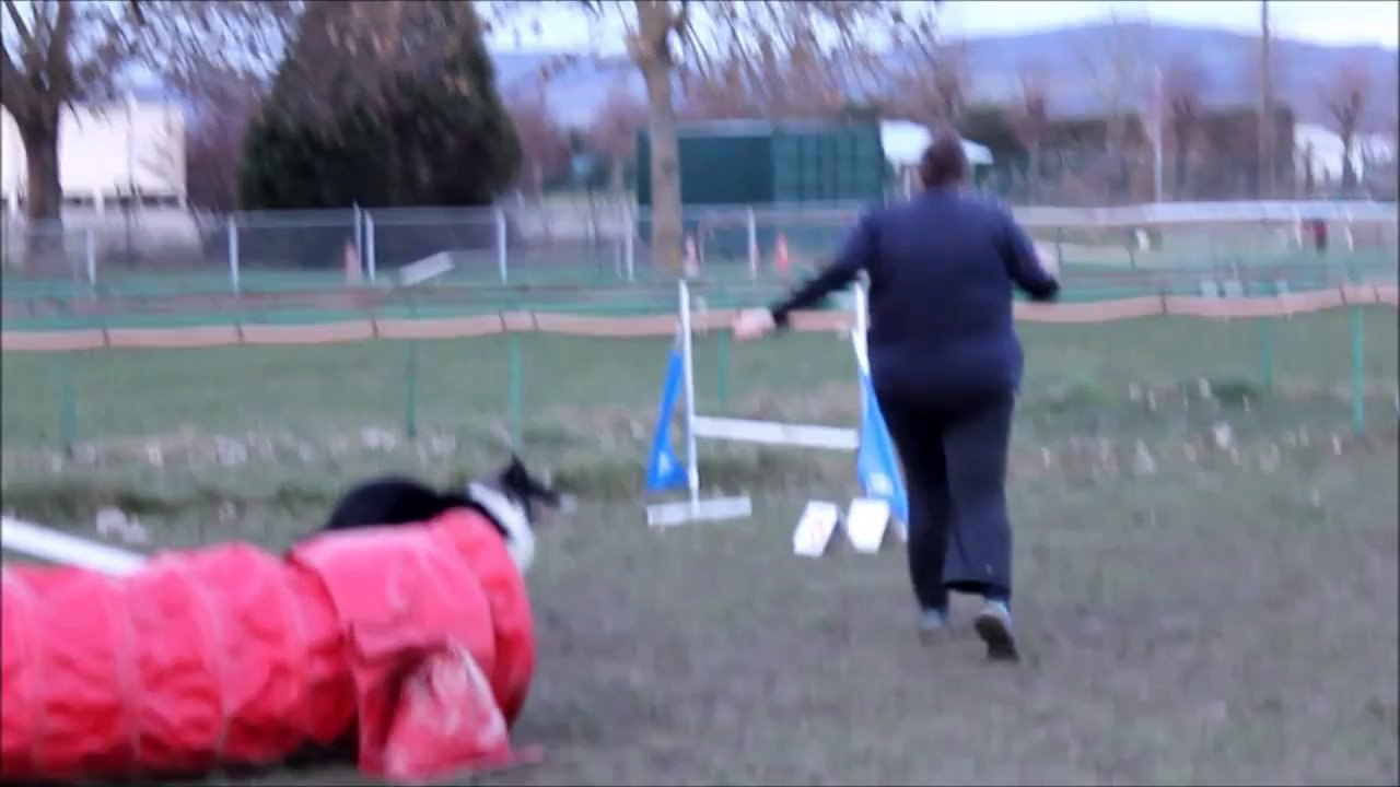 Ti morceaux de l'entrainement de Flipper le 28 janvier 2014