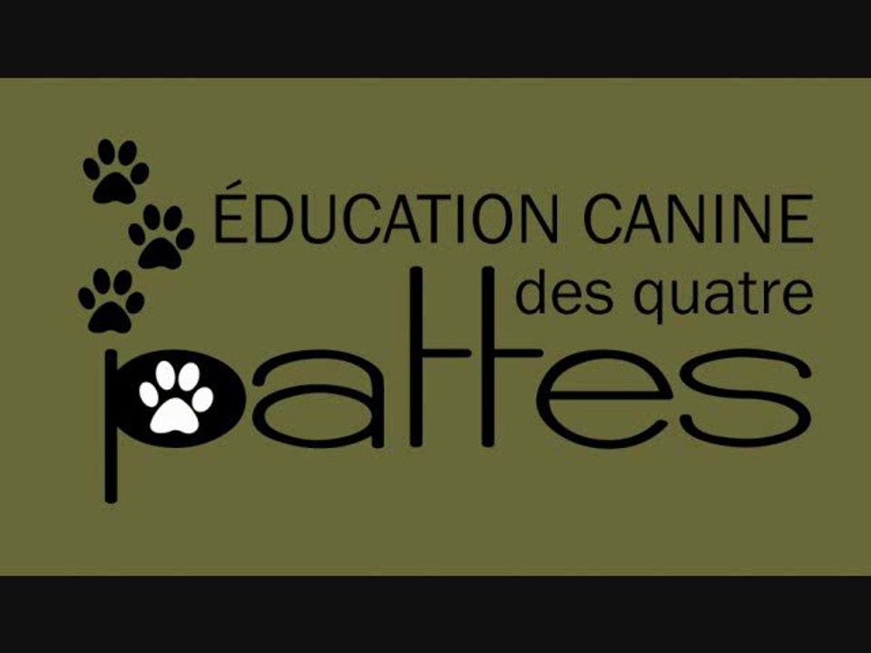 Éducateur canin: un manifeste sur le droit des animaux au Québec.